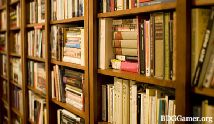 What Is InterviewLibrary.info