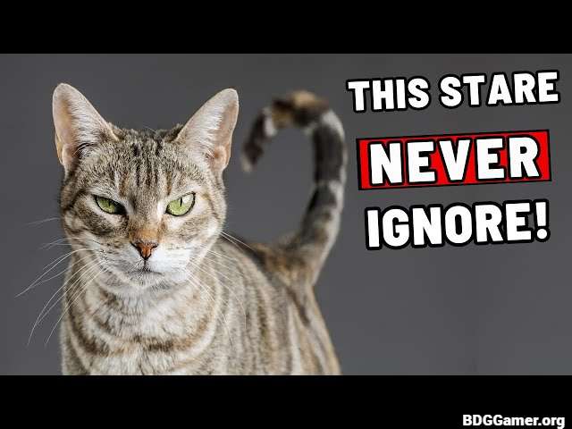 When to Worry About Staring